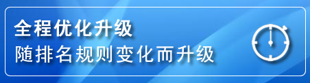 桥东区网站推广公司